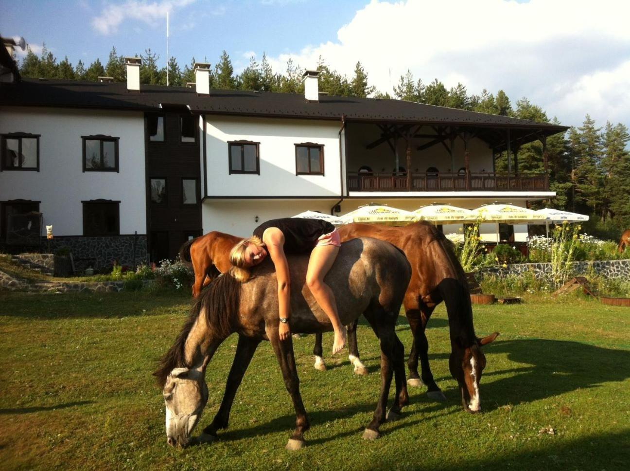 Rusaliite Adventure House Bachevo  Bagian luar foto