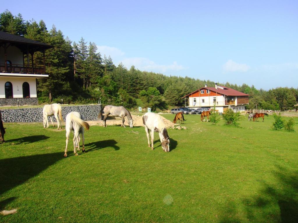 Rusaliite Adventure House Bachevo  Bagian luar foto