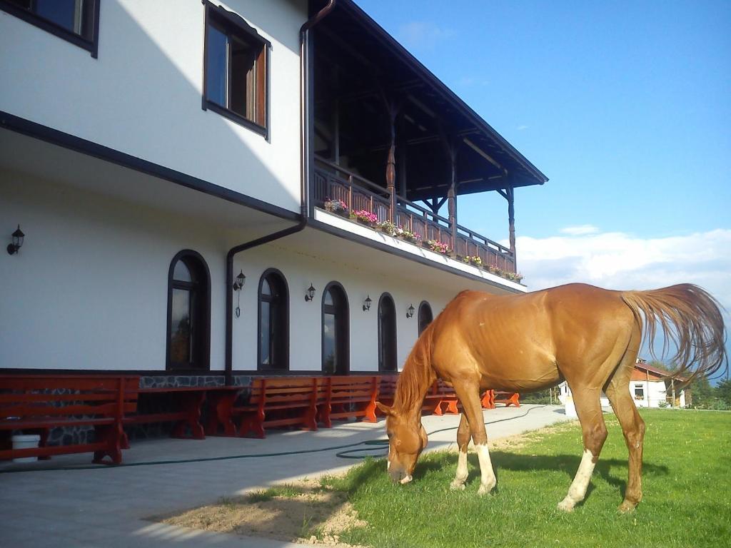 Rusaliite Adventure House Bachevo  Bagian luar foto